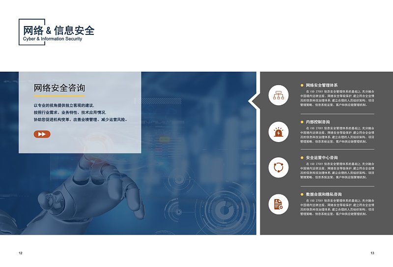 網(wǎng)絡(luò)信息安全產(chǎn)品簡介模板及其市場調(diào)研分析