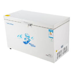 友田BD/BC-301QE 一款301升冷藏冷凍轉(zhuǎn)換大冰柜的實測體驗